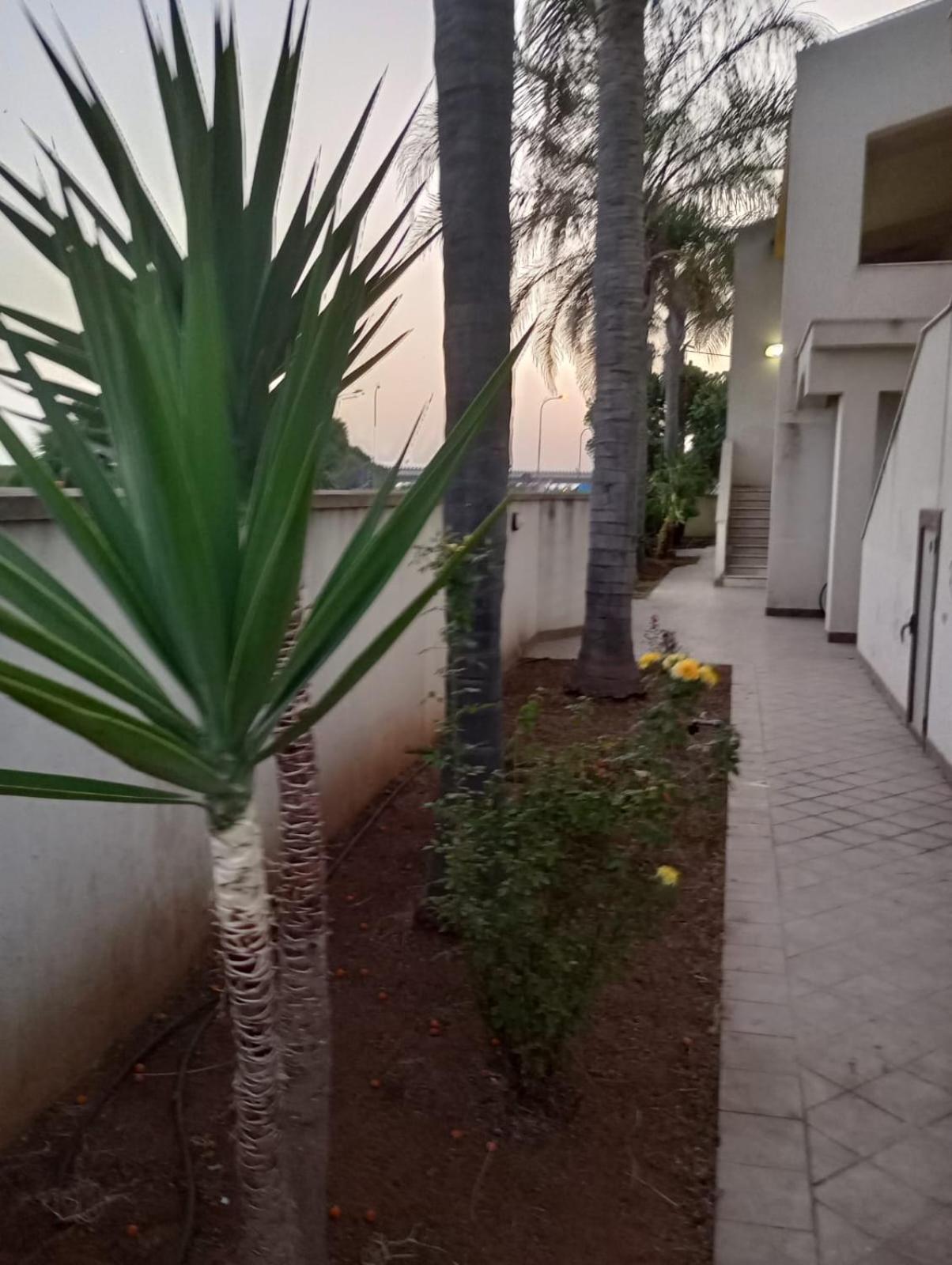 Viki House Mazara Daire Mazara del Vallo Dış mekan fotoğraf
