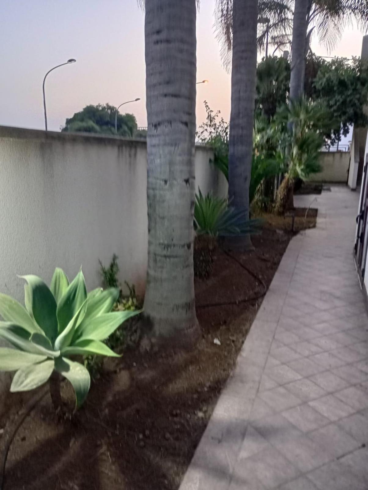 Viki House Mazara Daire Mazara del Vallo Dış mekan fotoğraf