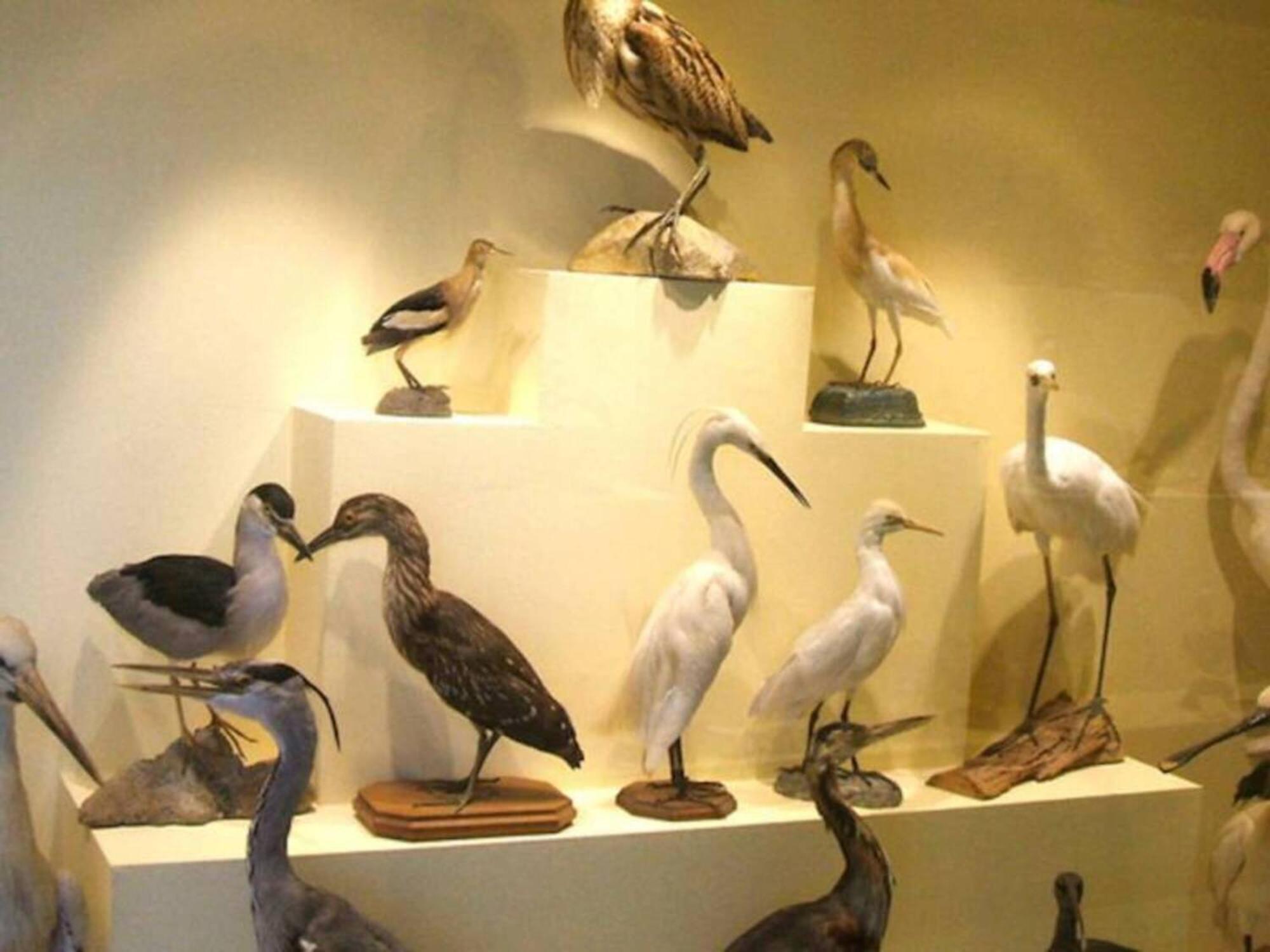 Viki House Mazara Daire Mazara del Vallo Dış mekan fotoğraf